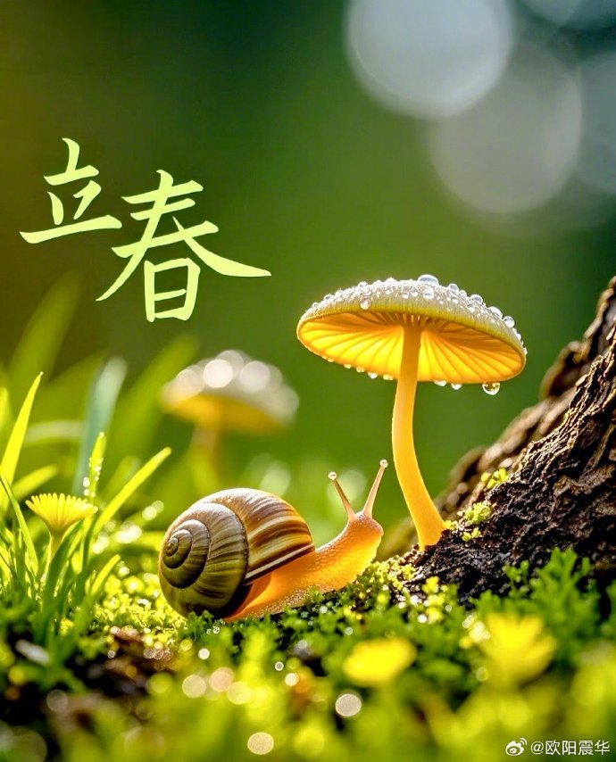 立春,一夜春风吹,佳气满南山,30句绝美诗词 立春,一夜春风吹,佳气满南山,30句绝美诗词