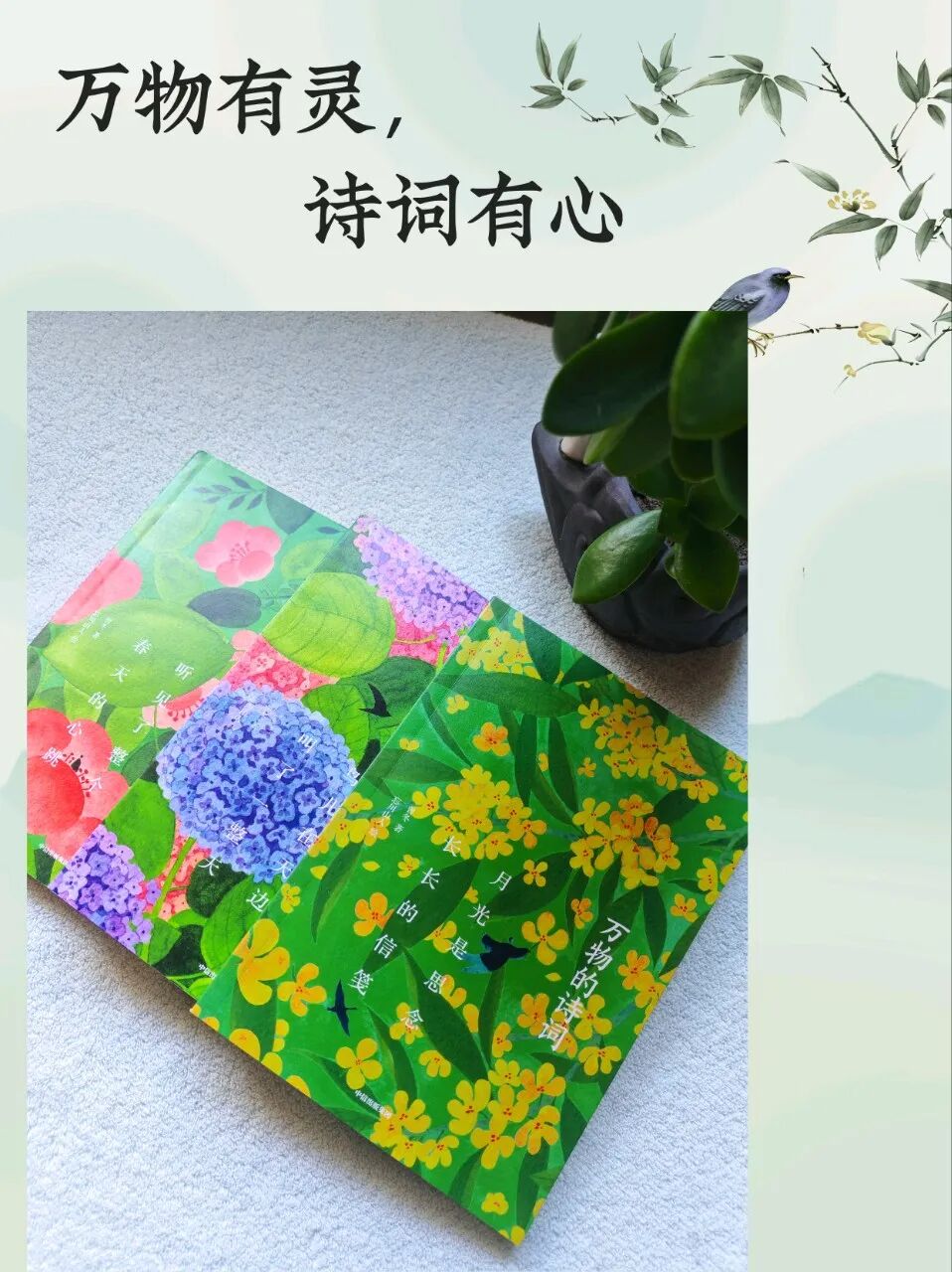 万物有灵，诗词有心