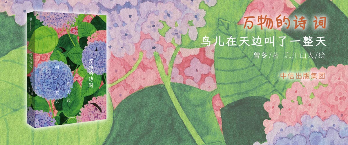 万物的诗词-鸟儿在天边叫了一整天