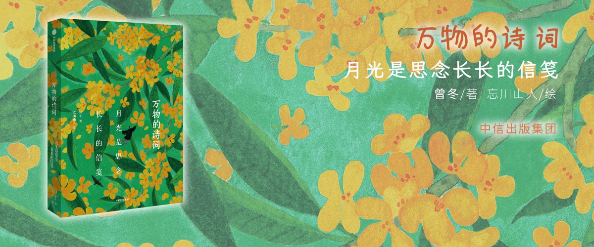 万物的诗词-月光是思念长长的信笺