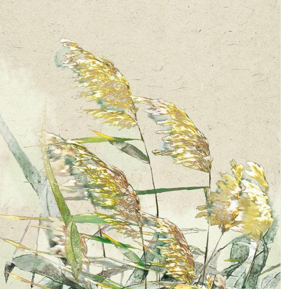 蛰虫惊动春风起：24首节气诗词，24幅节气诗画
