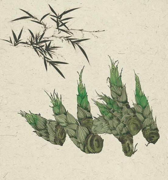 蛰虫惊动春风起：24首节气诗词，24幅节气诗画